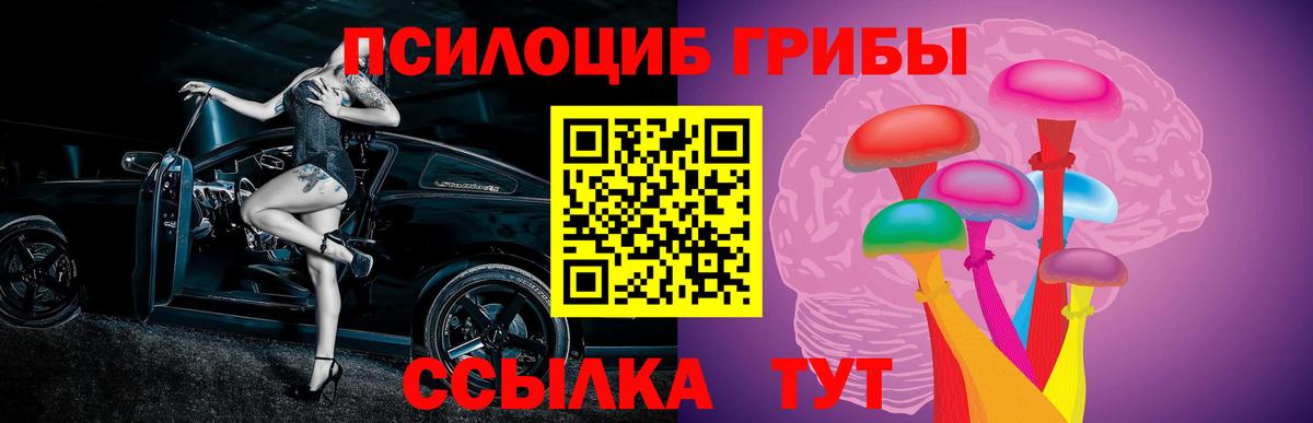 Новоалтайск  Псилоцибиновые грибы прущие грибы  сколько стоит  Вход с VPN 